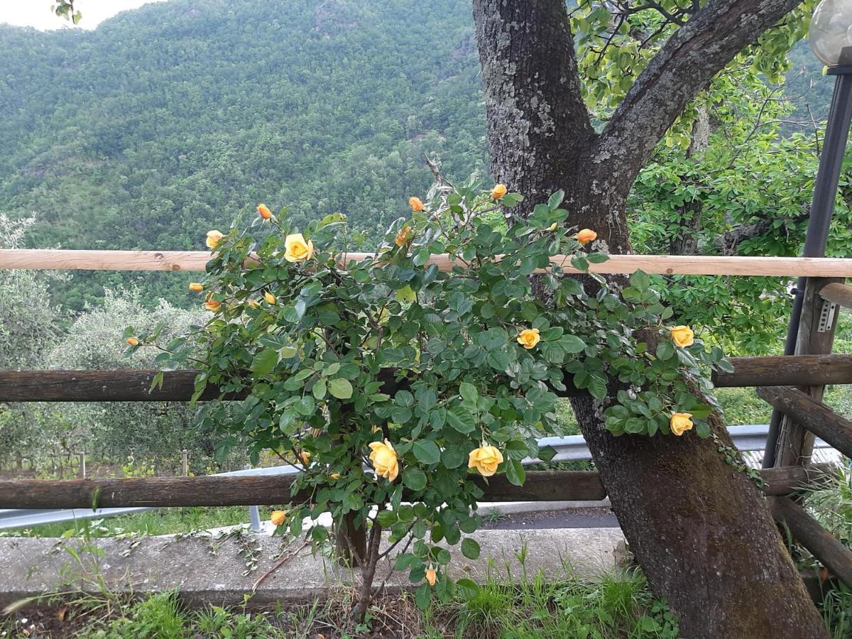 BorzonascaLa Casa Di Amelia别墅 外观 照片