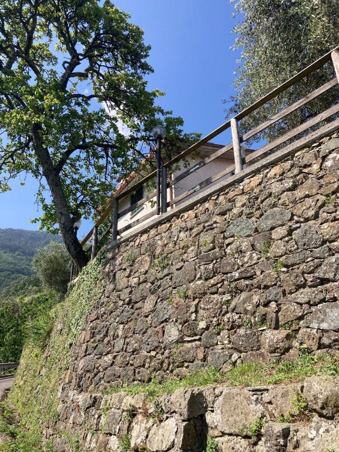 BorzonascaLa Casa Di Amelia别墅 外观 照片